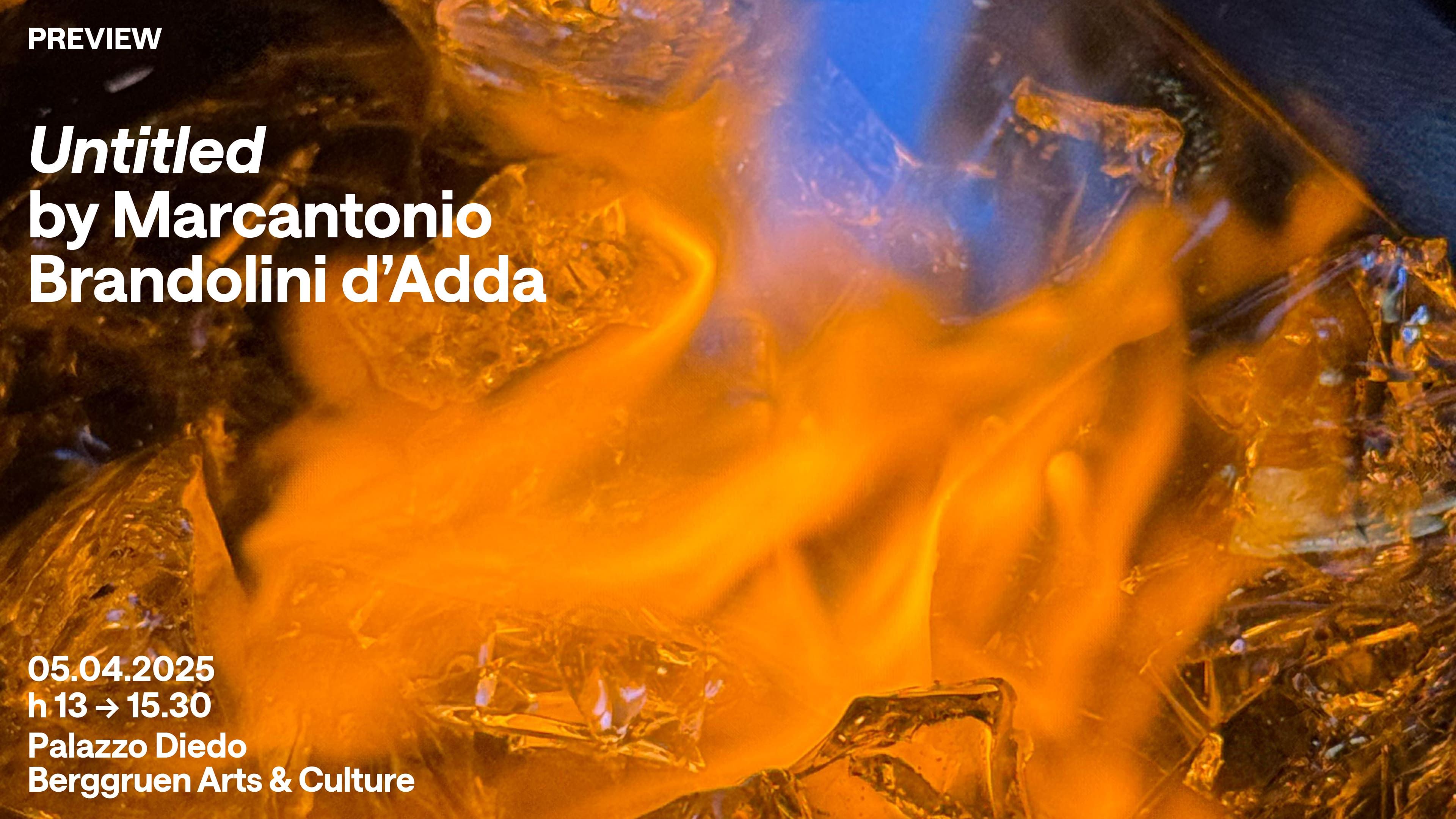 Untitled Marcantonio Brandolini d'Adda_opening_Palazzo Diedo